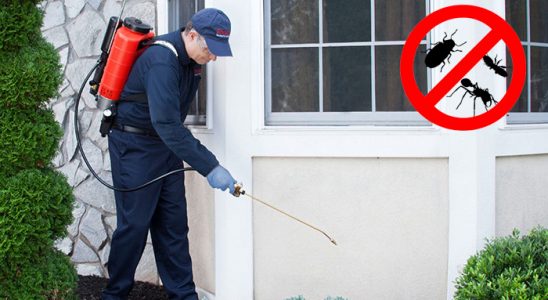 Arpaçay Pire İlaçlama böcek ilaçlama ve haşere kontrolü — ilaclama-tr.com
